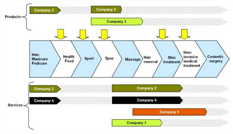 beauty & aesthetics Industry value chain