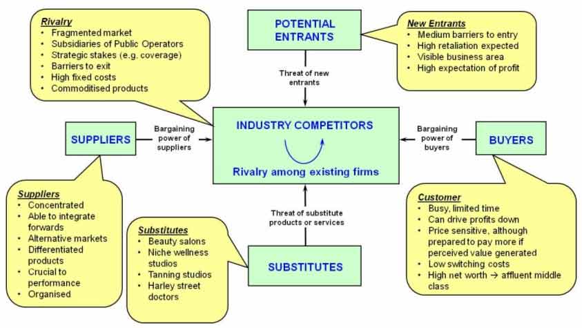 click to load full size Porter's 5 forces diagram for Company1 in pop up window